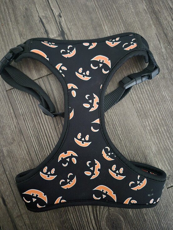 Other - NWOT Halloween Jack-O'-Lantern Black Dog Harness